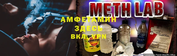 ГАЛЛЮЦИНОГЕННЫЕ ГРИБЫ Алексеевка