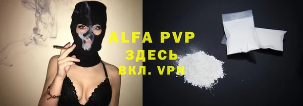 прущие грибы Абаза